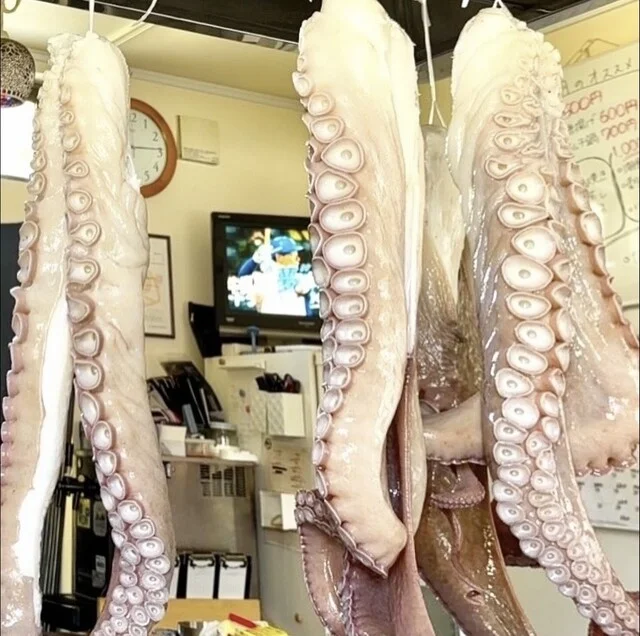 炉ばた焼 浦シマ（ウラシマ） - 沼ノ端（居酒屋）の写真