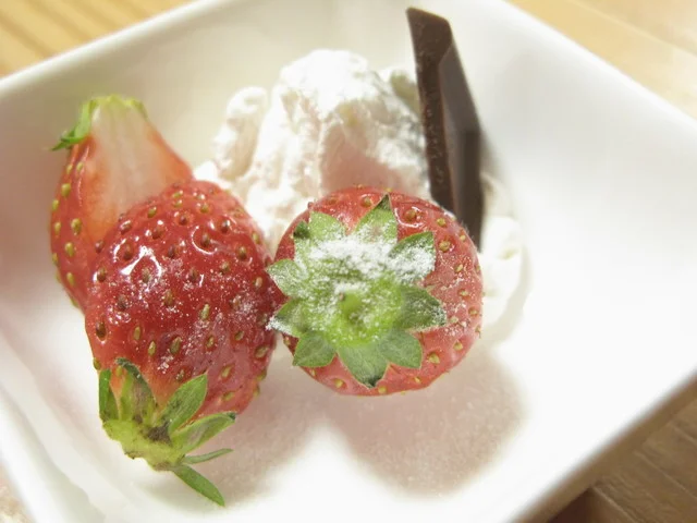 アルプロッジ（Alp Lodge） - 美瑛（旅館・民宿）の写真