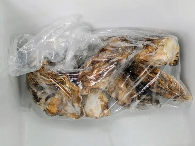 かき小屋 海の駅 ぷらっと港市場 - 苫小牧（海鮮）の写真