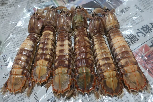 横田鮮魚店 - 小樽（その他）の写真