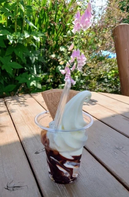 風花（フウカ） - 近文（ジェラート・アイスクリーム）の写真