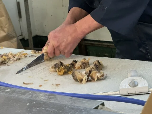 フードD エクスプレス見山店 - 青葉（コンビニ・スーパー）の写真