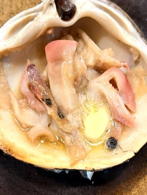 炉ばた焼 浦シマ（ウラシマ） - 沼ノ端（居酒屋）の写真