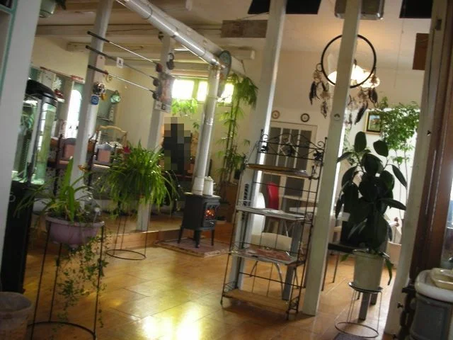 サイフォン珈琲店 - 柏林台（喫茶店）の写真