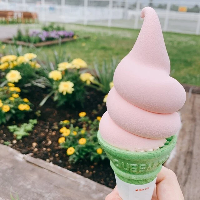 紫竹ガーデンカフェ - 帯広（洋菓子）の写真