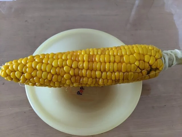 福井農園 - 納内（その他）の写真