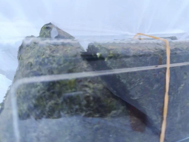 こめ屋のおむすび屋 - 北見（おにぎり）の写真