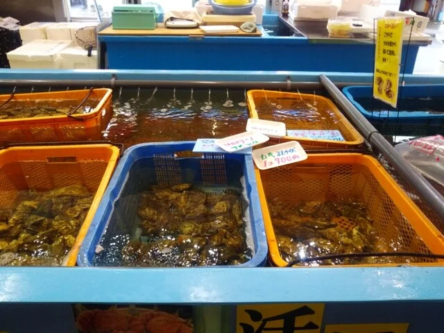 春木商店 - 函館（海鮮）の写真