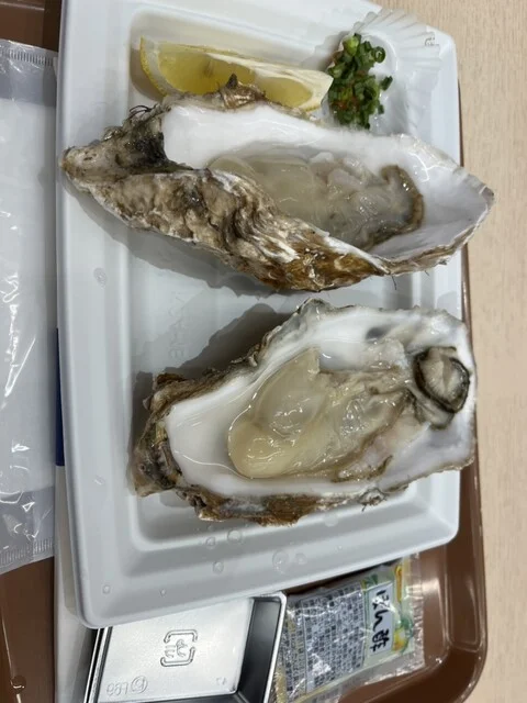 函館まるかつ水産　いかいか亭 - 十字街（海鮮）の写真