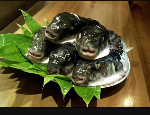 せん年萬年 - 東室蘭（日本料理）の写真