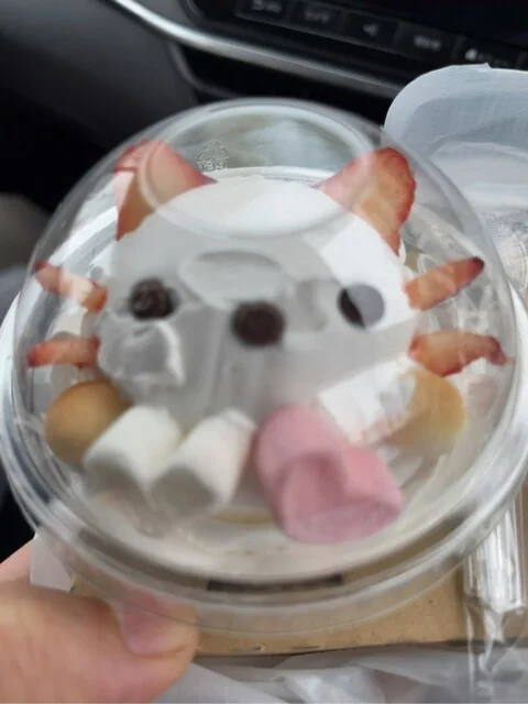 きまぐれキッチン - 北見（カフェ）の写真