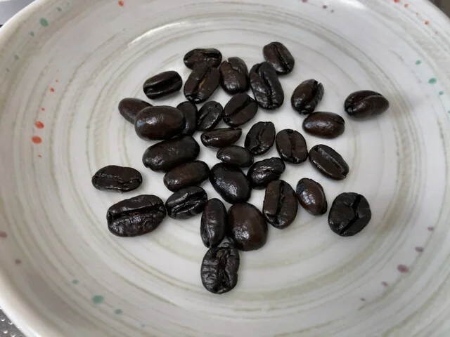 ブルースの木 - 宝来町（カフェ）の写真