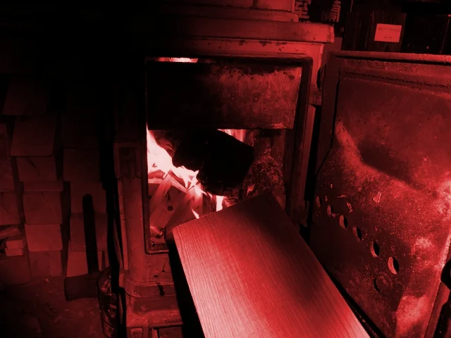 空想工房OZのライオン（クウソウコウボウノライオン） - 輪西（パスタ）の写真