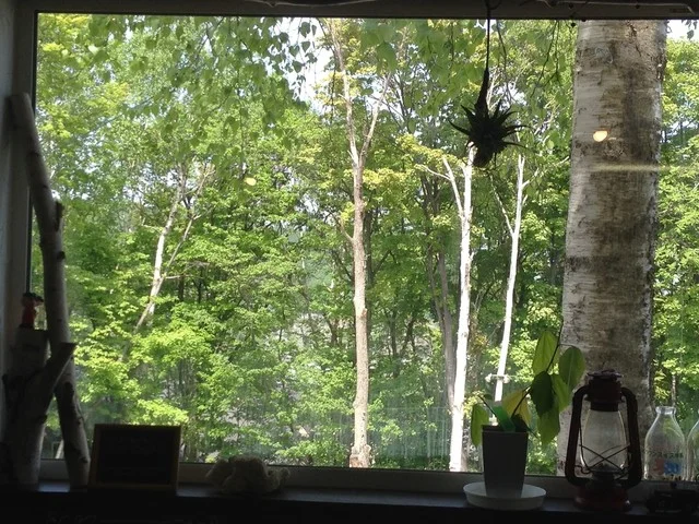 モリノカフェ - 小樽（カフェ）の写真