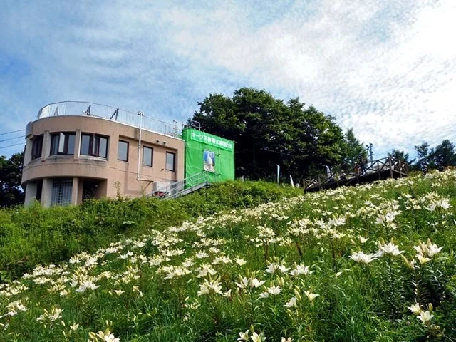山頂カフェ シーガル - 銭函（カフェ）の写真