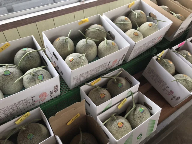 大島農園 - 山部（その他）の写真