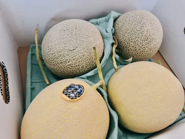 富良野地方卸売市場 - 富良野（その他）の写真