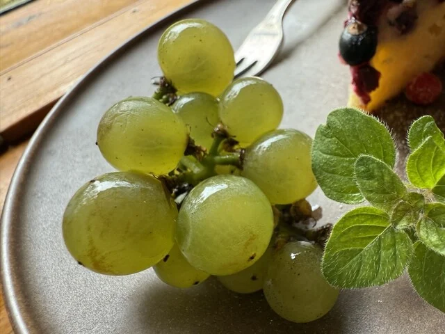 ｃａｆｅ ゴリョウ - 富良野（カフェ）の写真