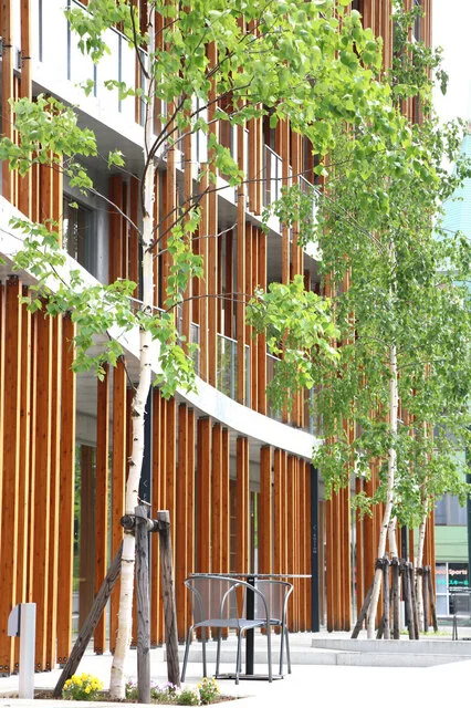 Fenix Restaurant and Bar - 富良野（ダイニングバー）の写真