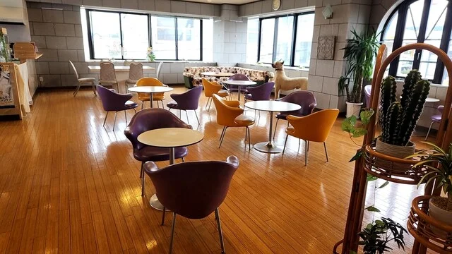 押し花展を見に行ったんですよ。 : リブラぴあ〜の ルアーナの写真