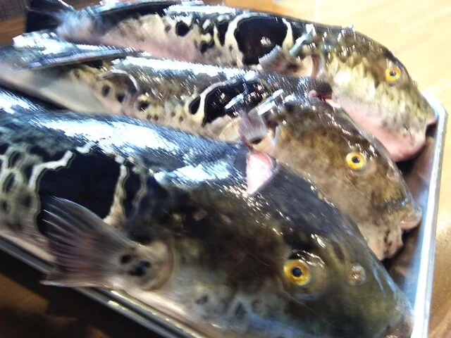 せん年萬年 - 東室蘭（日本料理）の写真