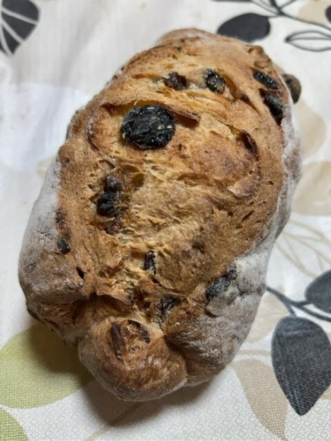 くるみレーズン＆塩パン : 農の里 | 北見市のオーガニックパン専門店