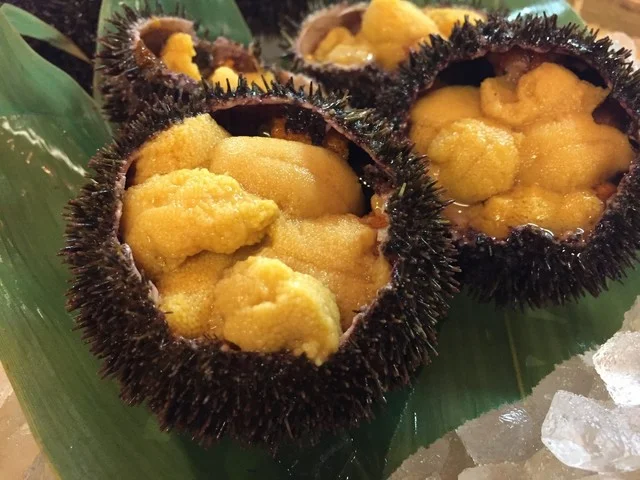 どんぶり茶屋 おたる堺町通り店 - 小樽（海鮮丼）の写真