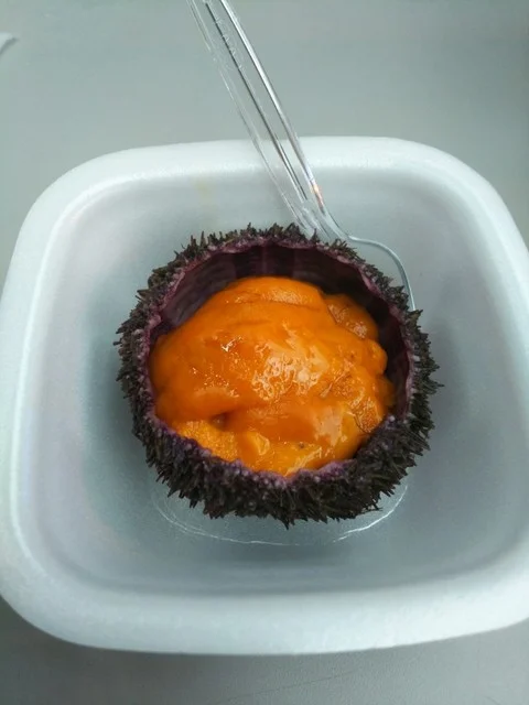 富良野地麦酒館（旧ペンション山のどくそん） - 富良野（ダイニングバー）の写真