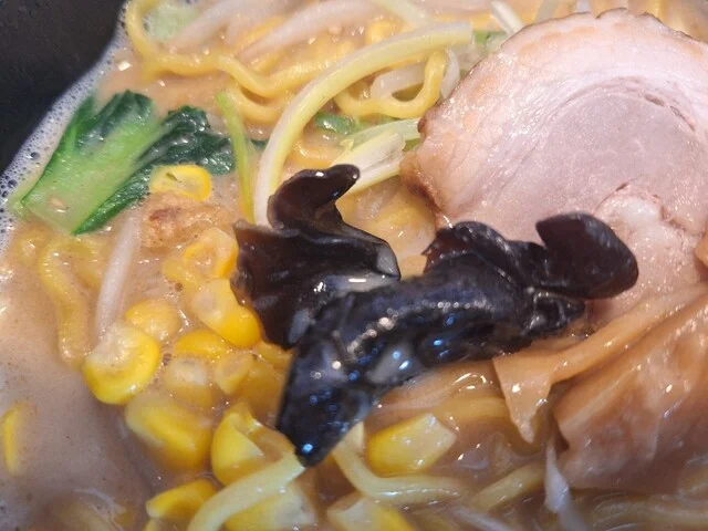 アウル（Owl） - 札幌市南区その他（ラーメン）の写真