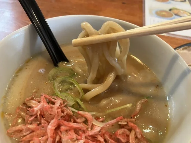路地裏つけ麺zzz - 東室蘭（つけ麺）の写真