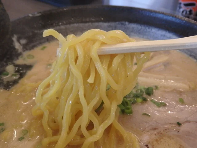 喜一郎 小樽手宮店 - 小樽（ラーメン）の写真