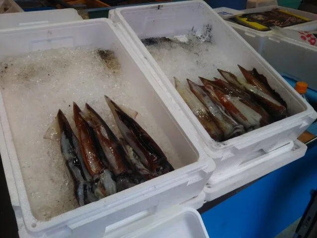 春木商店 - 函館（海鮮）の写真