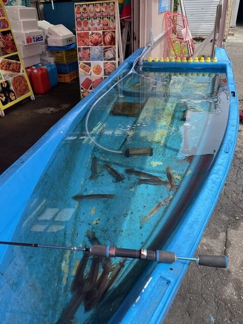 はこだて浪漫館 - 市役所前（函館）（海鮮丼）の写真