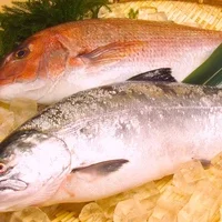 どんぶり茶屋 おたる堺町通り店 - 小樽（海鮮丼）の写真