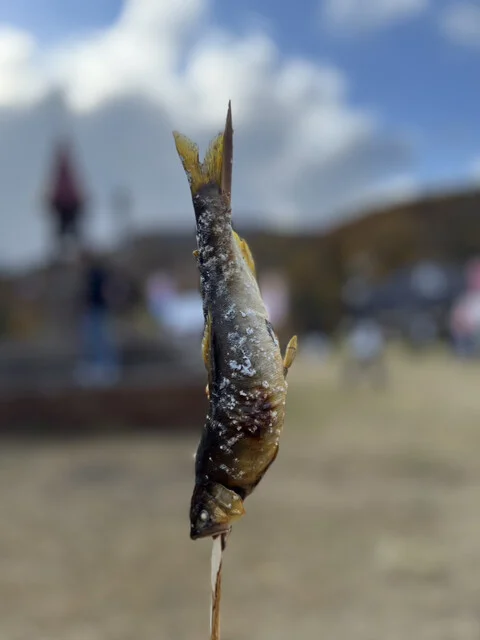 札幌国際スキー場 - 札幌市南区その他（その他）の写真