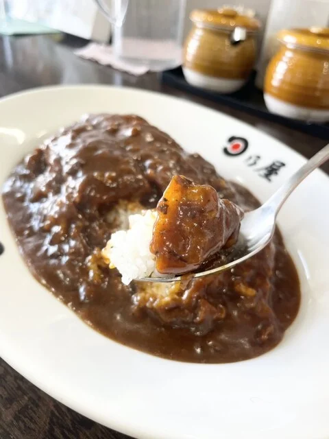 初訪問 : 日乃屋カレー 北見公園町店の写真