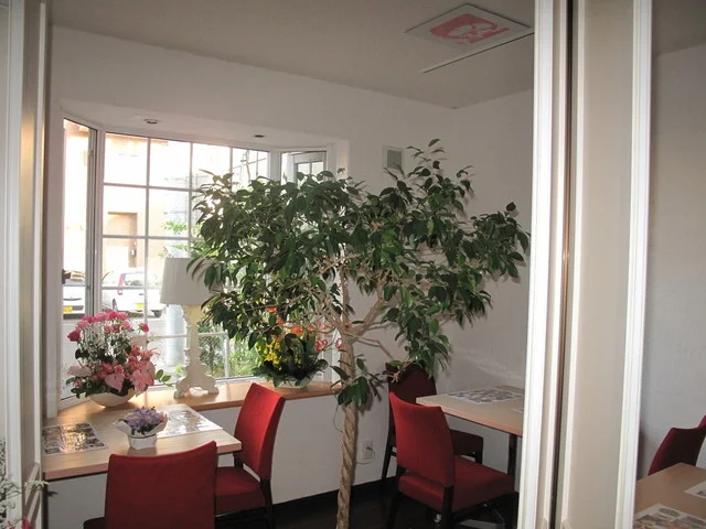 トラットリア クレド（【旧店名】BIO CAFE CREDO） - 東室蘭（イタリアン）の写真