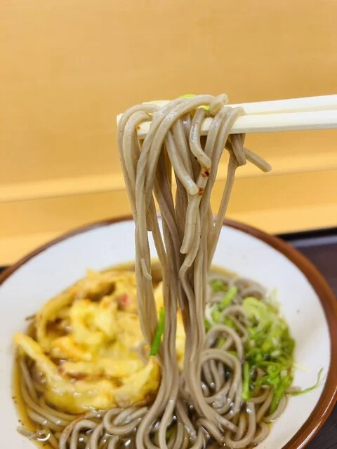 口コミ一覧 : 立ち食い処 そば うどん ぼんちの写真