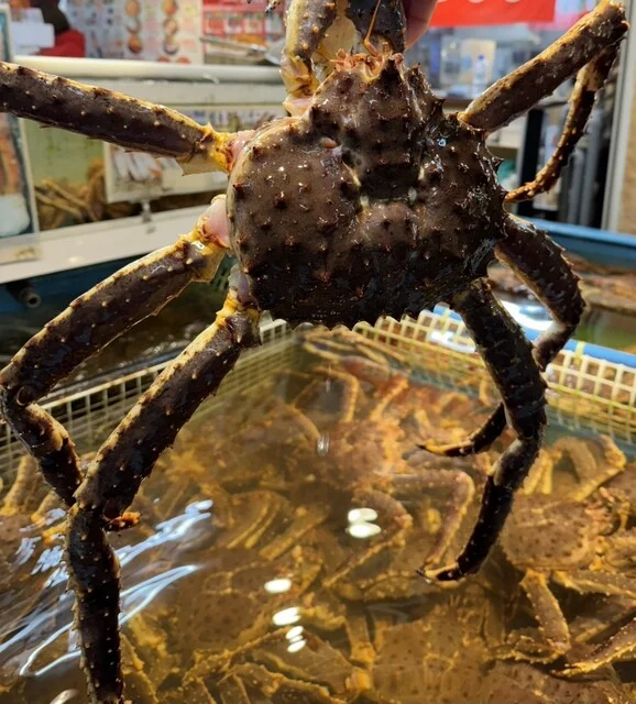 マルキ川嶋鮮魚店 - 小樽（その他）の写真