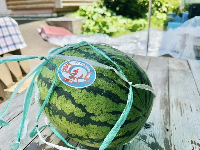 藤林商店 - 富良野市その他（その他）の写真