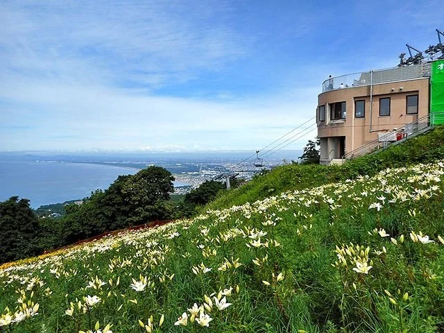 山頂カフェ シーガル - 銭函（カフェ）の写真