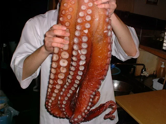 おたる巽鮨 堺町店 - 南小樽（寿司）の写真