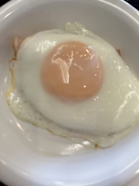 はたごさんじゅうご、、、、あたしゃはたごで嫁に行く、、、、 : レストラン HATAGO 北見店の写真