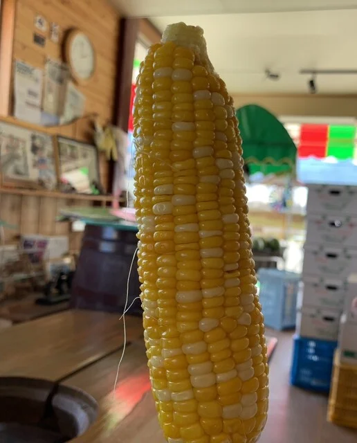 山崎農園 - 山部（その他）の写真