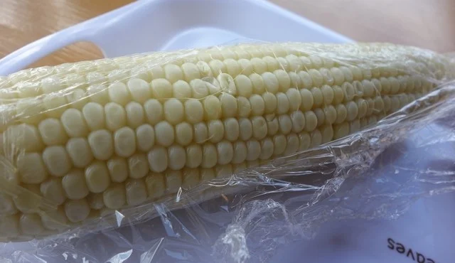 緑豊農場　売店（リョクホウノウジョウ） - 富良野市その他（ジェラート・アイスクリーム）の写真