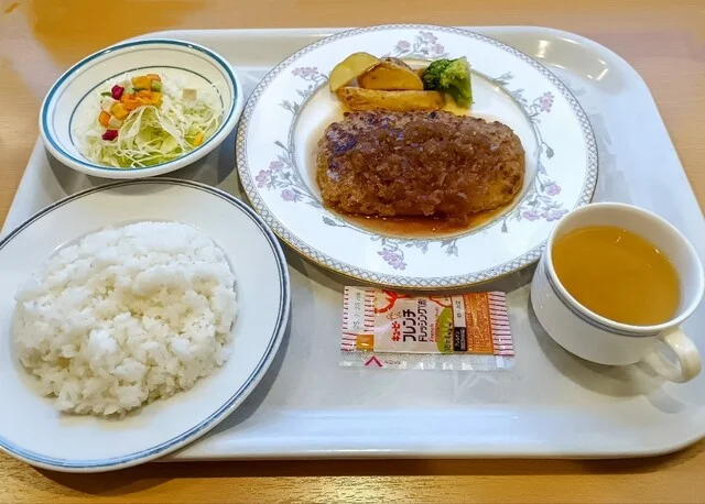 新日本海フェリー らべんだあ AKANE - 南小樽（屋形船・クルージング）の写真