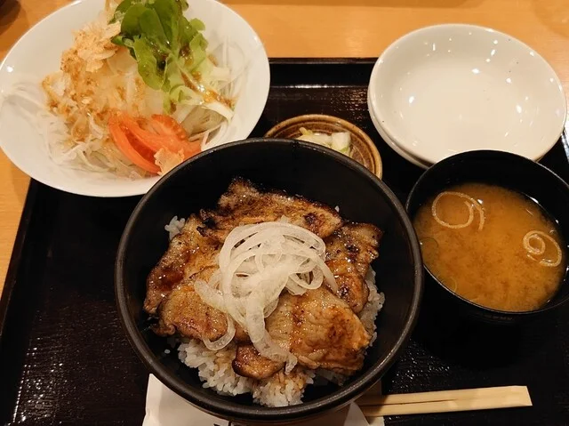 口コミ一覧 : 炭焼豚丼 源の写真