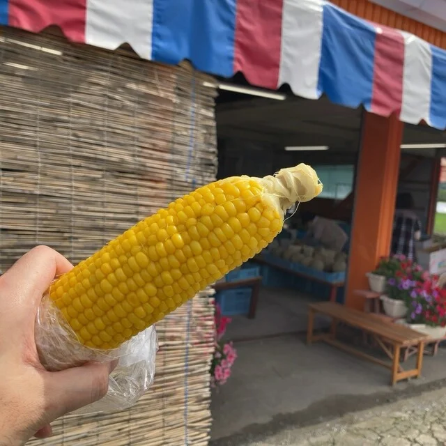 山崎農園 - 山部（その他）の写真