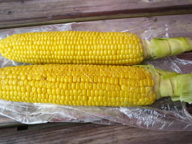 大島農園 - 山部（その他）の写真