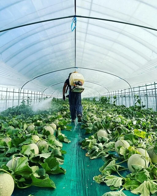 大島農園 - 山部（その他）の写真